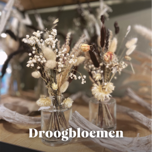 droogbloemen