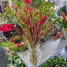 Droogbloemen boeket groen rood