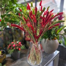 Droogbloemen boeket rood groen groot