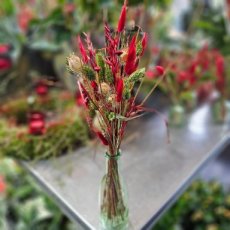 Droogbloemen in vaasje groen en rood