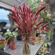 Droogbloemen boeket rood roze