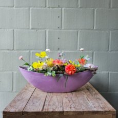 624 Joie de Vivre in een schaal