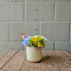 Joie de Vivre in een potje