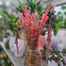 636 Droogbloemen boeket roze en paars