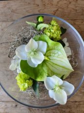 Z107 Greenscape Collectie in schaal
