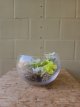 Z107 Greenscape Collectie in schaal