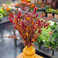 510 oranje rood droogbloemen boeket