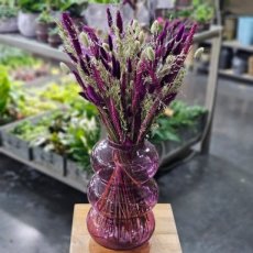 511 Paars droogbloemen boeket