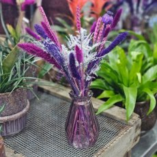 505 Paars met zilveren droogbloemen in vaasje