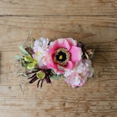 Z77 Oergezellig Zijden