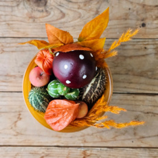 B33 Herfstpotje