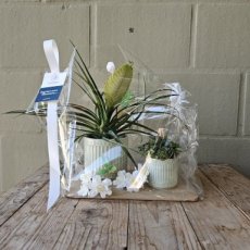 Cadeau pakket
