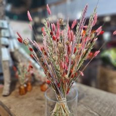 1DRBL Droogbloemen boeket oranje-roze
