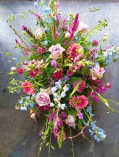 25 Langwerpig veld roze iets blauw