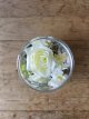 Z101 Greenscape Collectie in glazen vaas