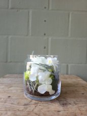 Z101 Greenscape Collectie in glazen vaas