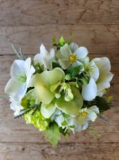 Greenscape Collectie in pot