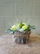Z103 Greenscape Collectie in schorspot