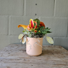Z14 Frisse Fleurigheid